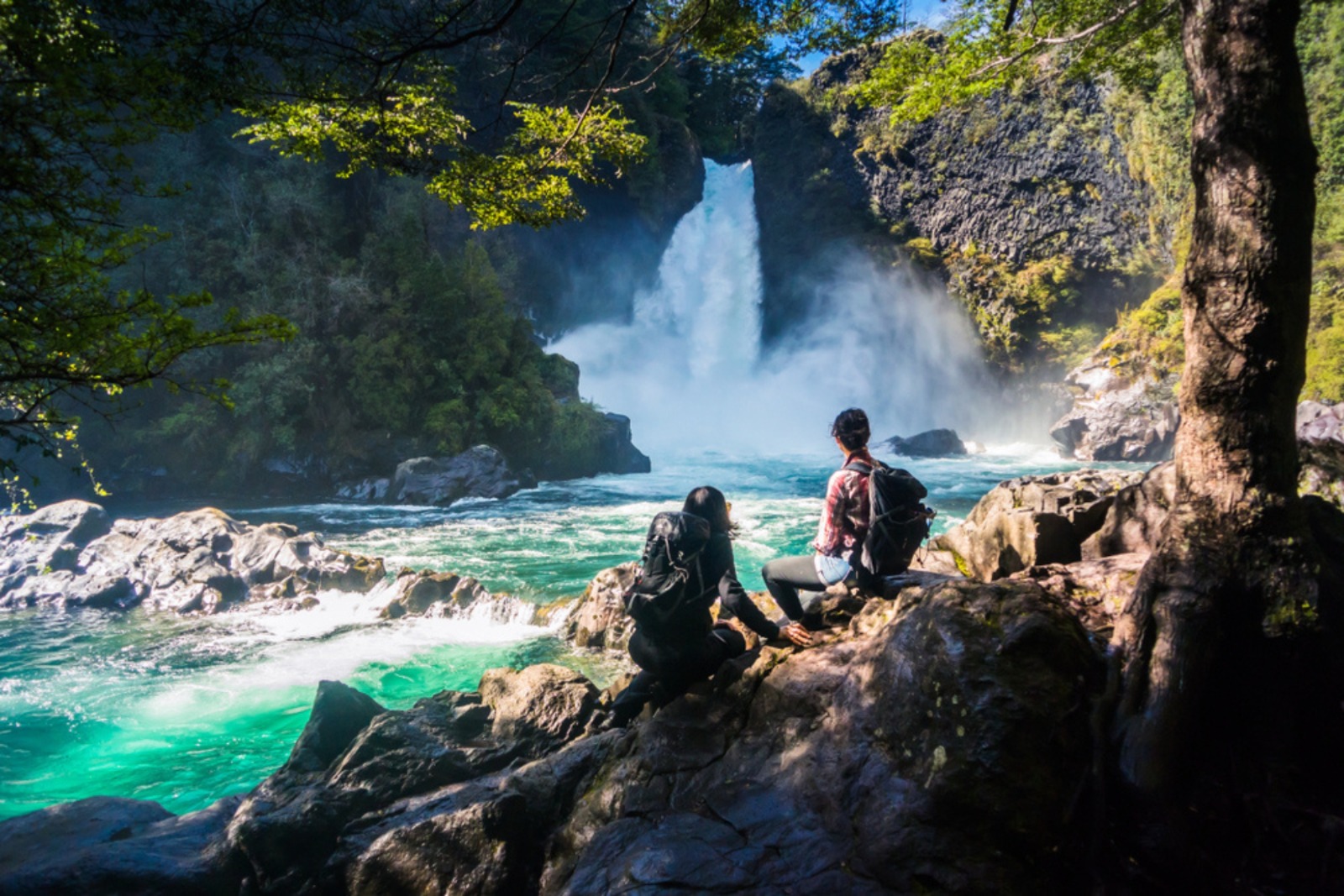 Naturaleza sur de Chile