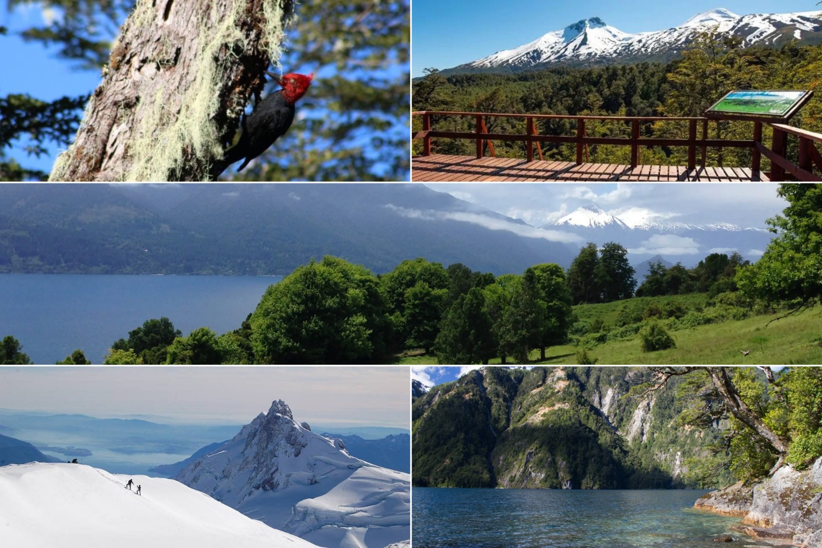 Entorno Aldea Quinquén